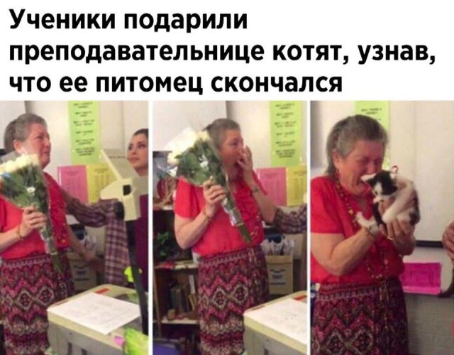 Прикольные картинки (20 фото) Прикольные картинки (20 фото)
