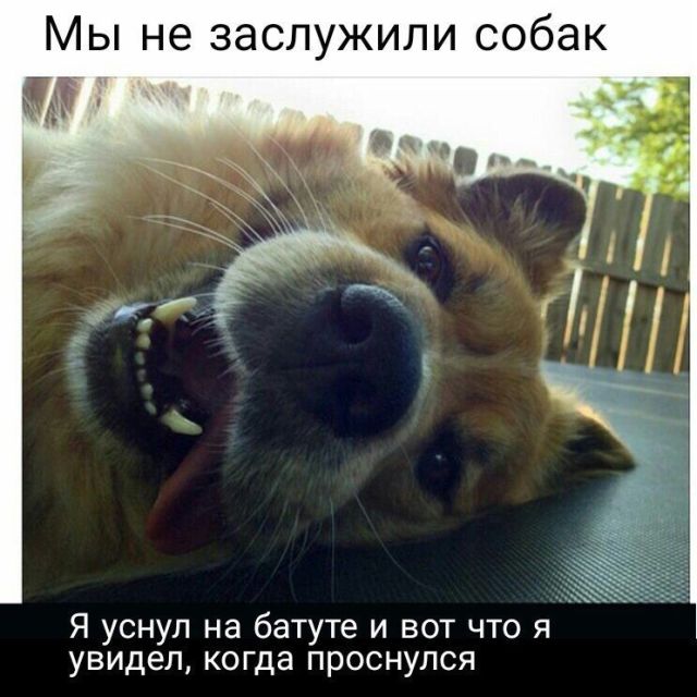 Прикольные картинки (20 фото) Прикольные картинки (20 фото)