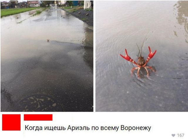 Прикольные картинки (20 фото) Прикольные картинки (20 фото)