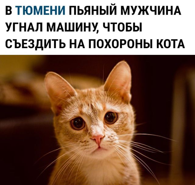 Прикольные картинки (20 фото) Прикольные картинки (20 фото)