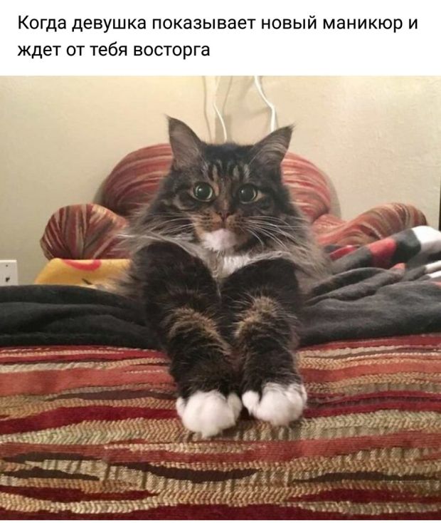 Прикольные картинки (20 фото) Прикольные картинки (20 фото)