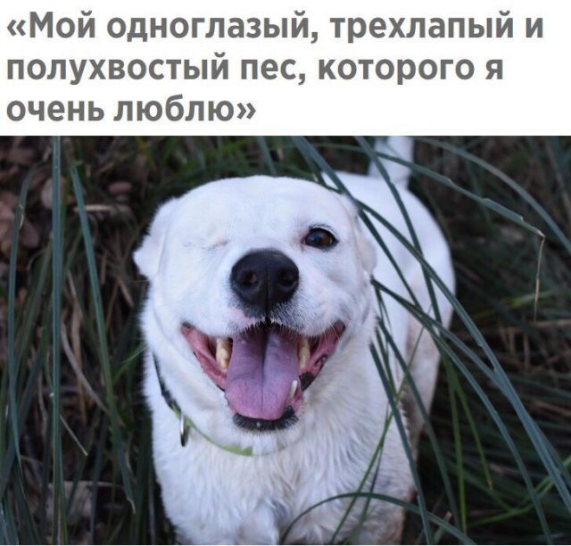 Прикольные картинки (20 фото) Прикольные картинки (20 фото)