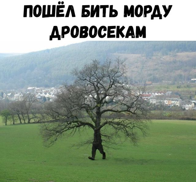 Прикольные картинки (20 фото) Прикольные картинки (20 фото)