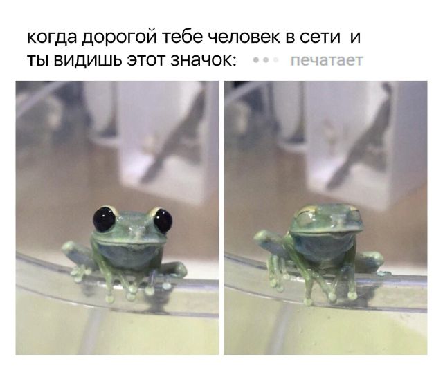 Прикольные картинки (20 фото) Прикольные картинки (20 фото)