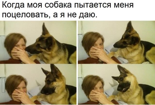 Прикольные картинки (20 фото) Прикольные картинки (20 фото)