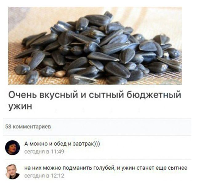 Подборка смешных картинок (20 фото) Подборка смешных картинок (20 фото)