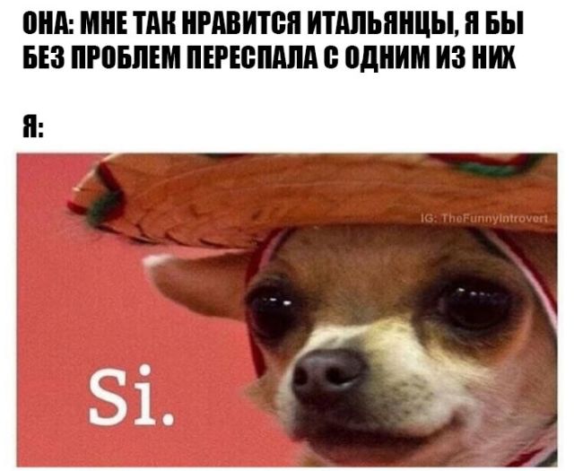 Смешные картинки (20 фото) Смешные картинки (20 фото)