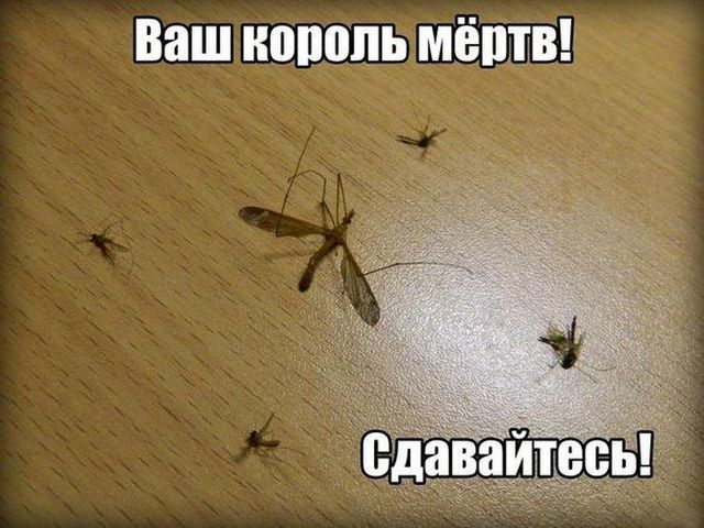 Подборка картинок (20 фото) Подборка картинок (20 фото)
