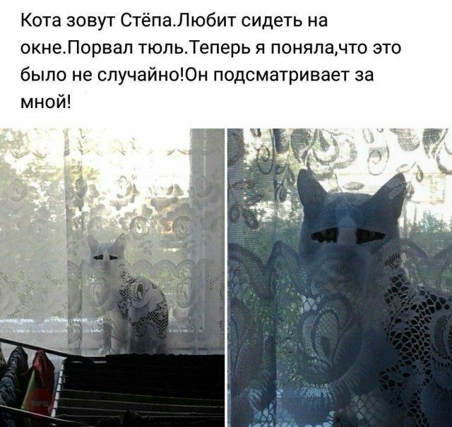 Смешные картинки (20 фото) Смешные картинки (20 фото)