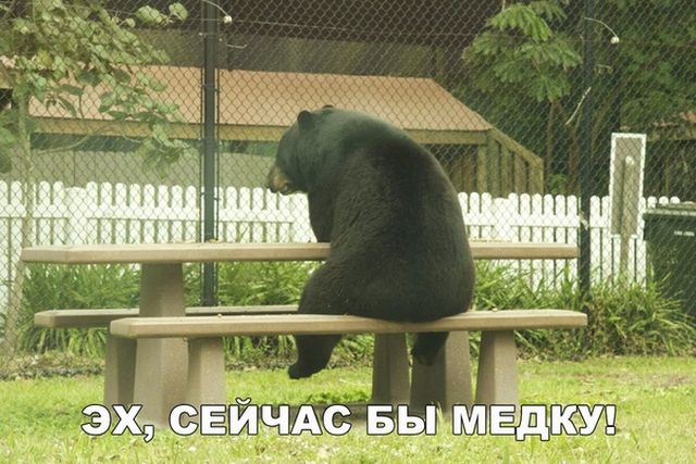 Смешные картинки (20 фото) Смешные картинки (20 фото)