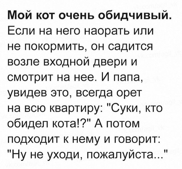 Смешные картинки (20 фото) Смешные картинки (20 фото)