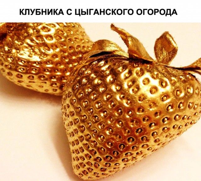 Смешные картинки (20 фото) Смешные картинки (20 фото)