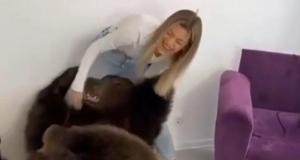 Блогерша из Мытищ Валерия Татаринцева привела в квартиру медведя на праздник к ребенку (2 видео)