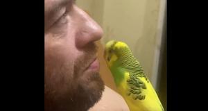 Серьезные разговорчики с попугаем