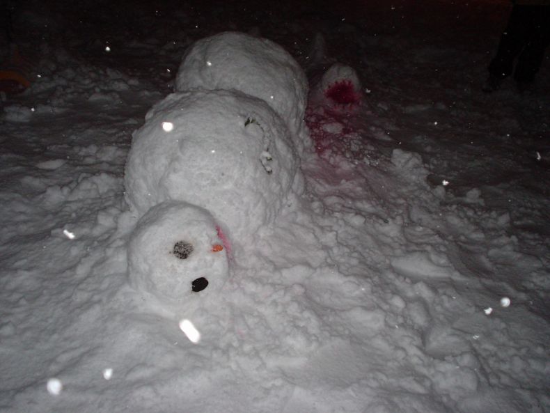Приколы со снеговиками (13 Фото)