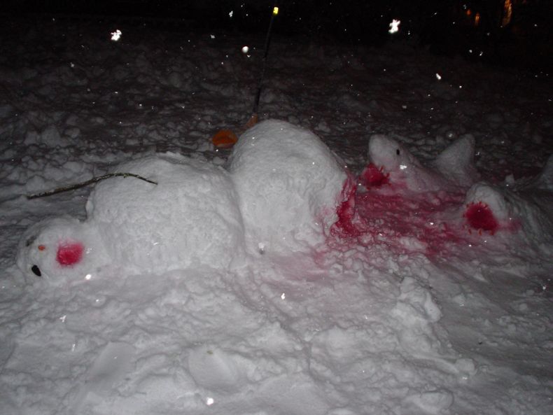 Приколы со снеговиками (13 Фото)