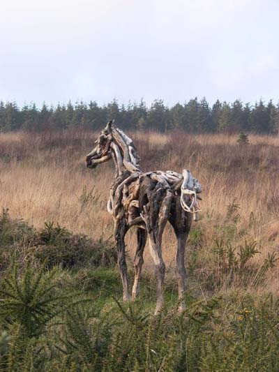 Лошади из дерева (14 Фото)