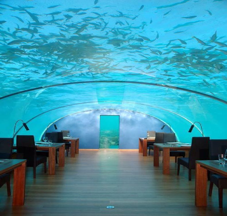 Первый в мире подводный ресторан (8 Фото)