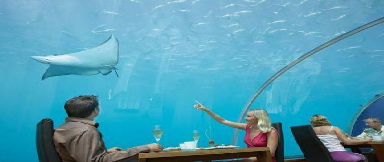 Первый в мире подводный ресторан (8 Фото)