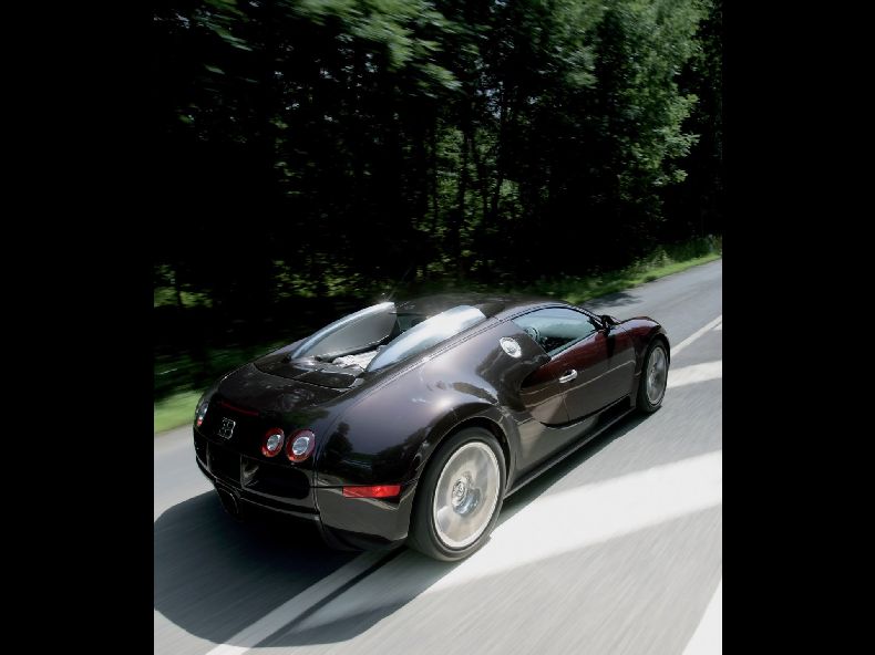 Bugatti Veyron (39 Фото)