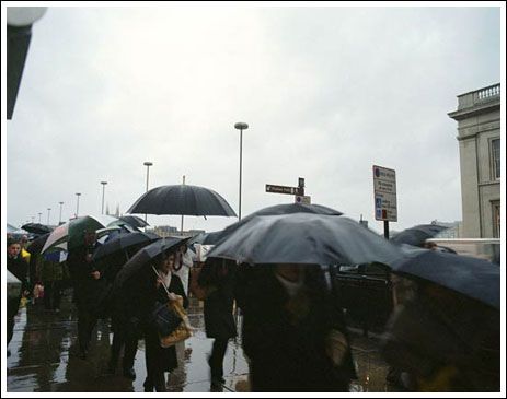 Гигантский зонт (14 Фото)