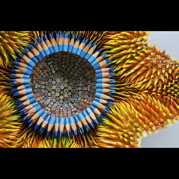 Креатив. Цветы, созданные из карандашей (14 Фото)
