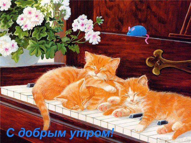 Коты на рисунках (79 Фото)