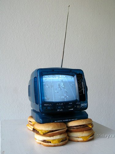 Арт из чизбургеров (9 Фото)