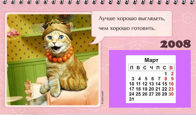 Боянчик. Кошко-календарь на 2008-й (12 Фото)
