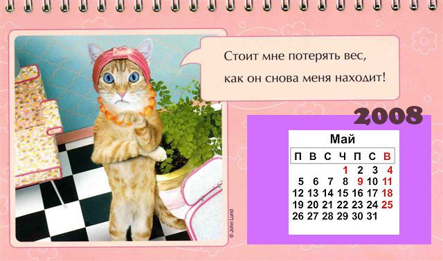 Боянчик. Кошко-календарь на 2008-й (12 Фото)