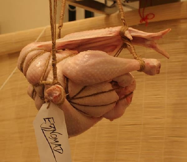 Садо-мазо курица (11 Фото)