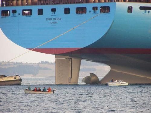 Самый большой контейнеровоз в мире (9 Фото)