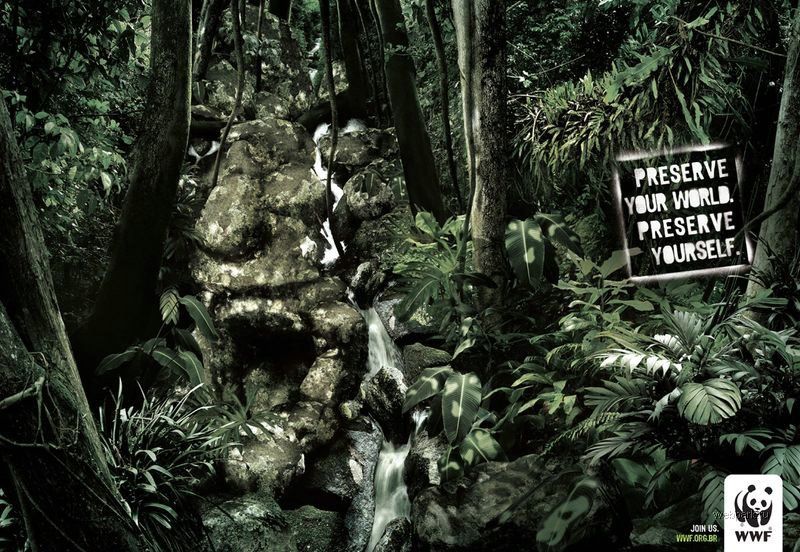 Плакаты WWF (36 Фото)