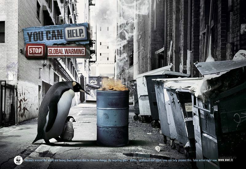 Плакаты WWF (36 Фото)