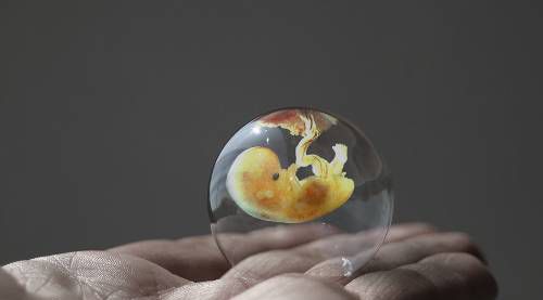 Креатив с мыльными пузырями. Прикольно (15 Фото)