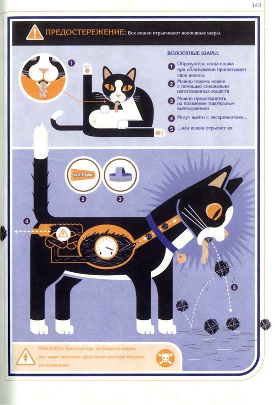 Кошка. Инструкция по эксплуатации (7 Фото)