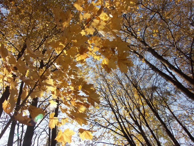 Осень (11 Фото)