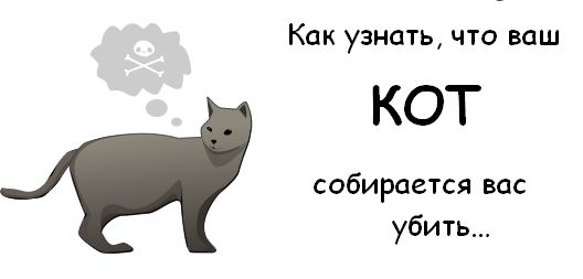 http://trinixy.ru/pics3/20081114/cat_01.jpg