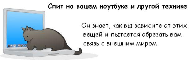 http://trinixy.ru/pics3/20081114/cat_08.jpg