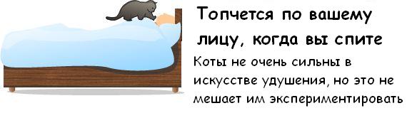 http://trinixy.ru/pics3/20081114/cat_09.jpg