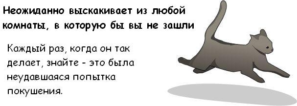http://trinixy.ru/pics3/20081114/cat_10.jpg