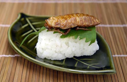 Такие бы суши я не ел (10 Фото)