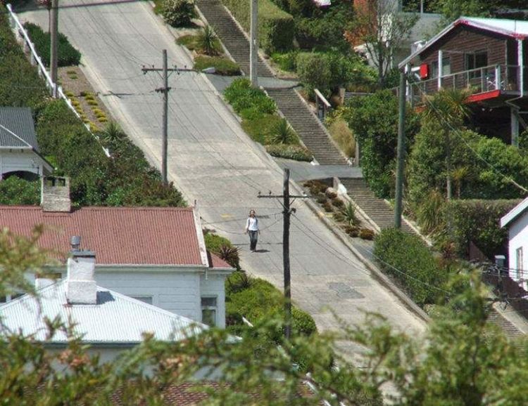 Самая крутая улица в мире, Новая Зеландия (10 Фото)