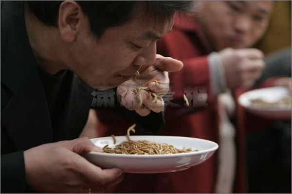 Поедание червей в Китае (13 Фото)