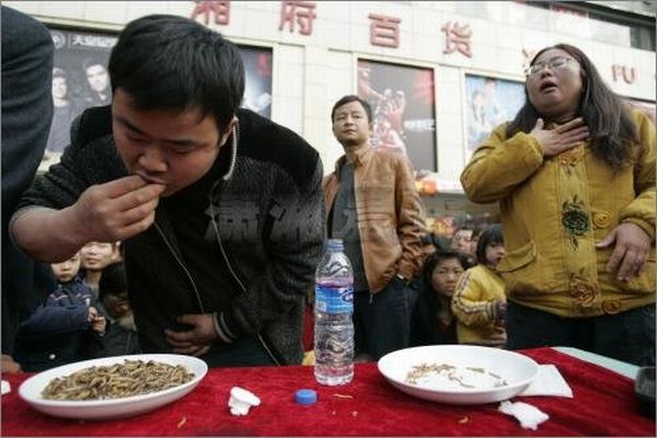 Поедание червей в Китае (13 Фото)