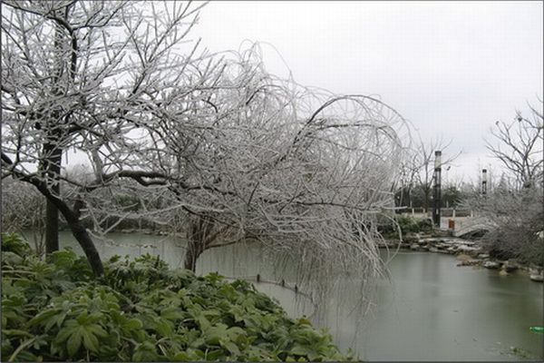 Ледяной дождь в Китае (14 Фото)