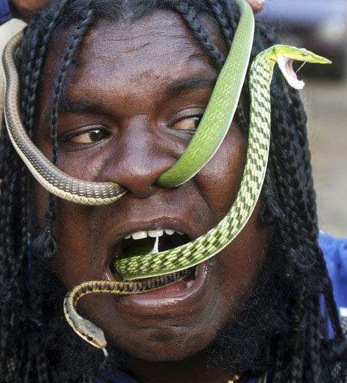 Змеи через нос (5 Фото)