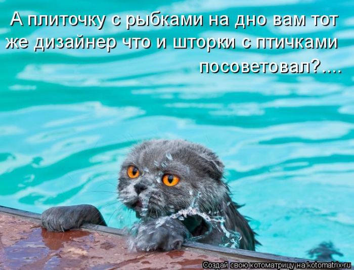 http://trinixy.ru/pics4/20100219/kotomatrix_09.jpg