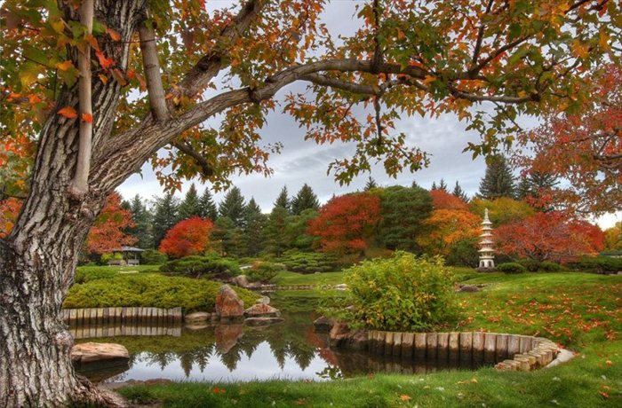 Живописный японский сад в Канаде (21 Фото)