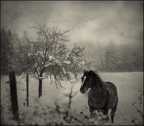 Красивые черно-белые  фотографии (22 Фото)